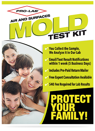 Mold (Mycotoxins) At-Home Test Kit
